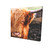 Highland Cow Canvas Wall Art