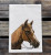 Brown Horse Kitchen Towel