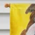 English Bulldog Flag