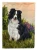 Border Collie Flag