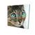 Blue-Eyed Brown Tabby Cat Canvas Art Print