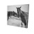 Horse Canvas Art Print