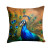 Peacock Pillow