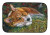 Corgi Dish Drying Mat