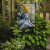 Tiger Garden Flag