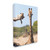 Giraffe Canvas Wall Art