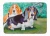Basset Hound Rug