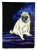 Pug Flag