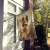 German Shepherd House Flag
