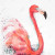Splashing Flamingo Bath Mat