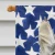Patriotic Maine Coon House Flag