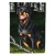 Rottweiler Flag
