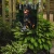 Backwoods Rottweiler Garden Flag
