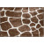 Faux Giraffe Area Rug - 2' x 3'