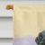 Snowy Black Labs House Flag