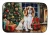 Cozy Christmas Cavalier Spaniel Dish Drying Mat