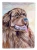 Newfoundland Dog Flag