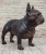 Extra-Large Bronze French Bulldog Sculpture