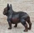 Extra-Large Bronze French Bulldog Sculpture