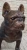 Extra-Large Bronze French Bulldog Sculpture