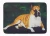Boxer Dog Rug