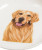 Golden Retriever Dinner Plate - 8"