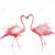 Flamingo Couple Fine Art Print