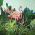 Tropical Flamingo Fine Art Print