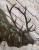 Bronze Elk Sculpture on Marble Base - Original Milo