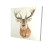 Rustic Deer Canvas Art Print