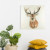 Rust Deer Canvas Wall Art -  Size 24" x 24"