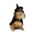 Witch Dog Halloween Costume