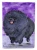 Pomeranian Flag