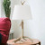 Rustic Antler Table Lamp