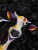 Curious Cow Throw Blanket