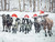 Snowy Christmas Cows Throw Blanket