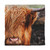Highland Cow Close-Up Duvet Cover - Queen