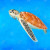 Swimming Red Sea Turtle Duvet Cover - Queen/Left