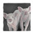 Pink Pigs on Black Duvet Cover - Queen