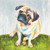 Spring Pug Duvet Cover
