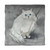 White Persian Cat Duvet Cover - Queen