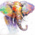 Vibrant Elephant Duvet Cover - Queen