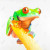Tree Frog Duvet Cover - Queen