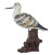 Greater Yellowlegs Shorebird Sculpture