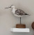 Greater Yellowlegs Shorebird Sculpture