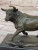 Bronze Charging Bull Sculpture - Stock Market Bull Sculpture - Original Mavchi