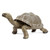 Tortoise Figurine - Large