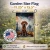 Spooky Vizsla Halloween Garden Flag