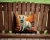 Golden Fall German Shepherd Throw Pillow - Indoor/Outdoor - 14" - White