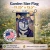 Fall Leaves Husky Garden Flag